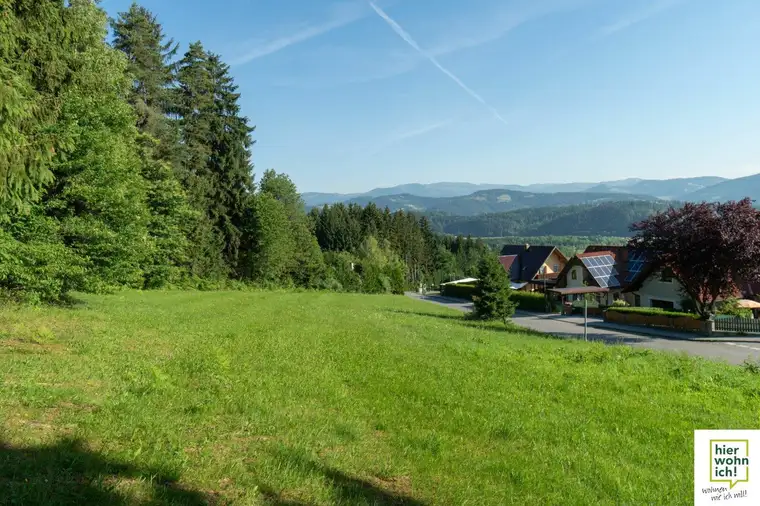 Traumhafte Aussicht: Großer Baugrund am Waldrand