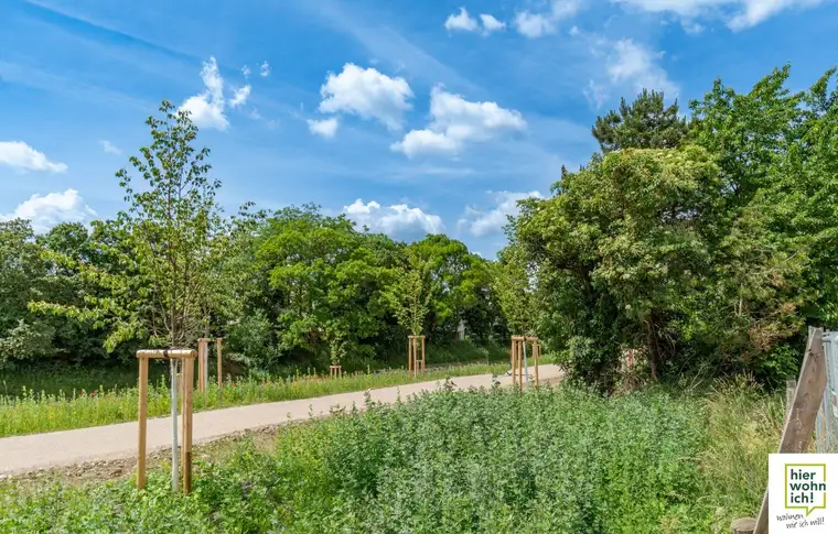 Im Grünen am Liesingbach: Neu sanierte 2-Zimmerwohnung