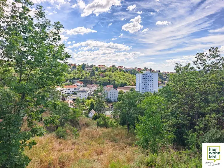 Einzigartiger Baugrund über den Dächern von Krems mit toller Fernsicht