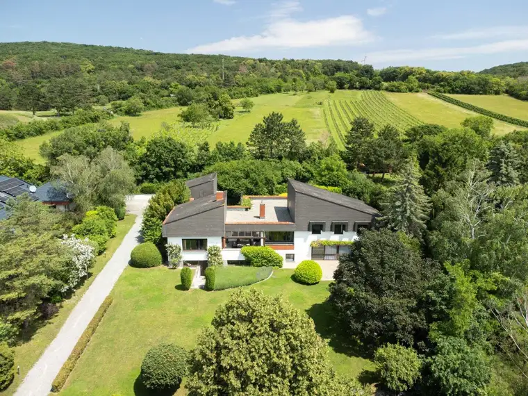 Alexandra Kassler, BA MA, Wohnsalon Immobilien GmbH