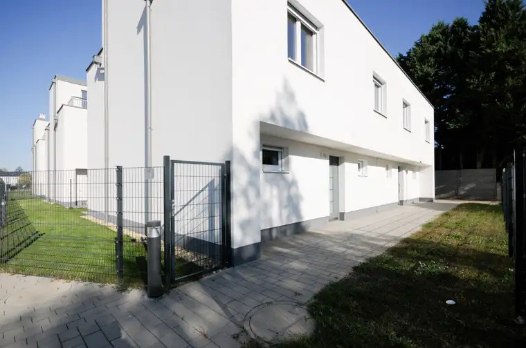 Elly Wenzel, Wohnsalon Immobilien GmbH