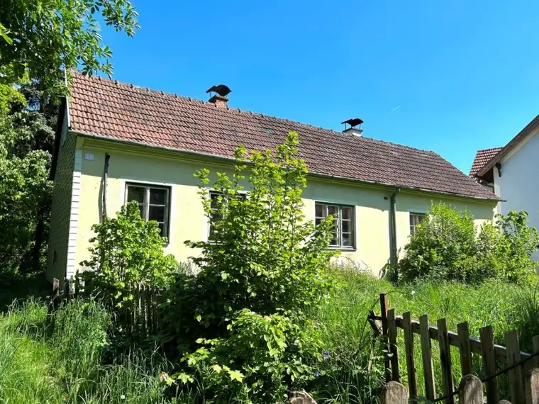 Liegenschaft mit renovierungsbedürftigen Altbestand in Zitternberg
