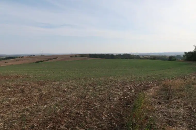 Landwirtschaftliche Grundstücke (Ackerbau) in Höbersbrunn