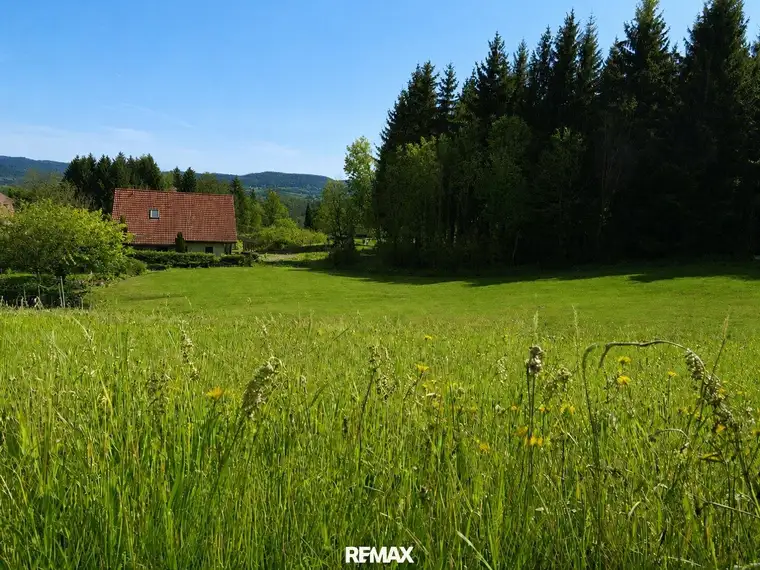 Baugrundstücke mit Wald und Quellen Nutzung - Nähe Golfclub Erzherzog Johann
