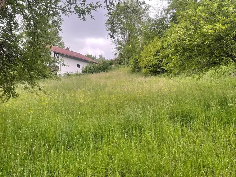 Traumhaftes Baugrundstück in Ruhelage von Moosburg