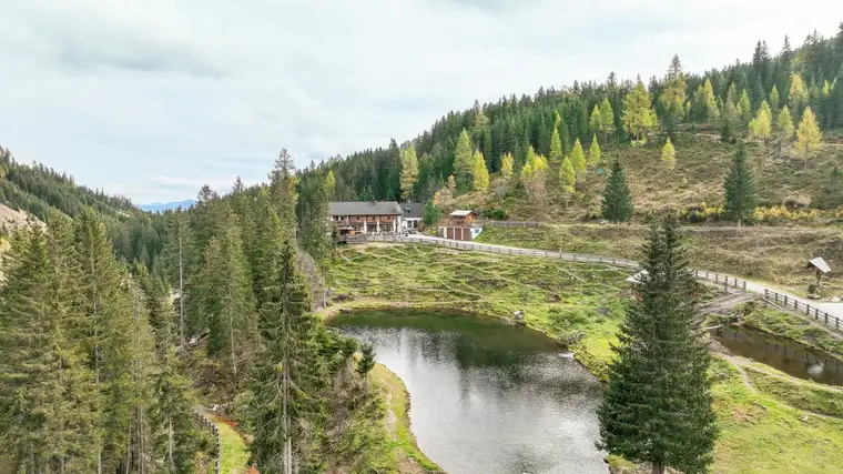 Malerischer Alm-Gasthof samt Nebengebäuden, Wald und Fischteichen