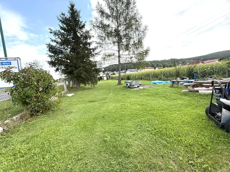 Großes Haus - Flexible Nutzung - ca. 800m² Grund - Garage - gepflegter Garten - sofort beziehbar