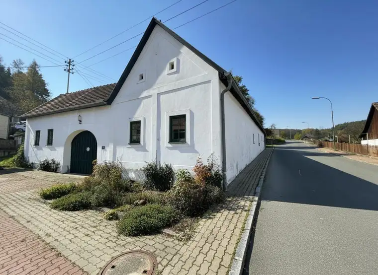 BAUERNHAUS sucht Naturliebhaber - BJ 1860 - Laufend Modernisiert - ca. 240 m² NFL - 5 Zimmer - Möbliert - Kamin - Einbauküche - Garten - Terrasse