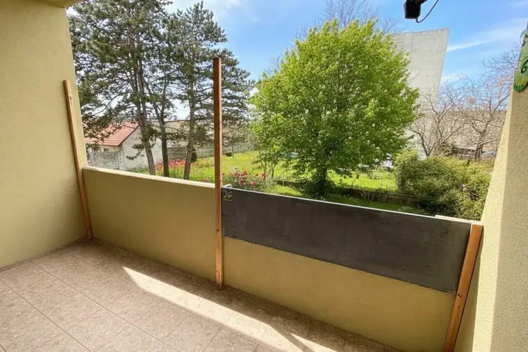 Alina-Georgiana Bun, Raumwert Immobilien Gmbh