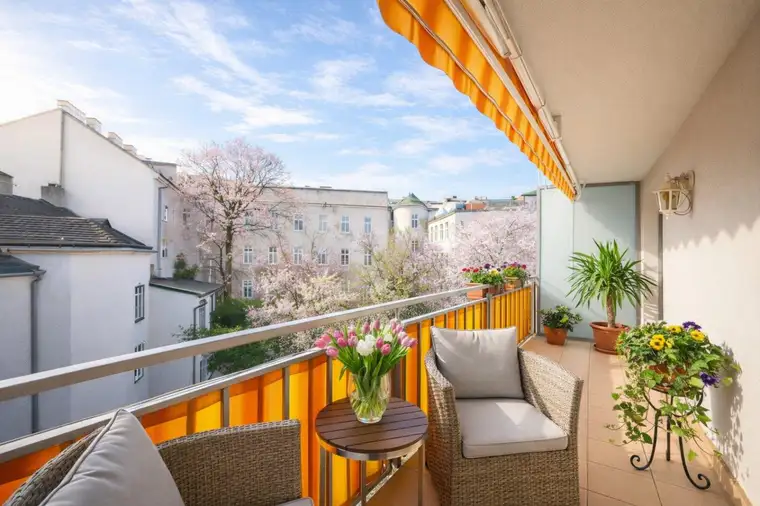 Kitti Hafner, Raumwert Immobilien Gmbh