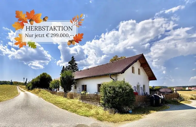 MEHR PLATZ FÜRS LEBEN | Großzügiges Bauernhaus | 3 Wohneinheiten | Teilsaniert | Garten | Terrasse | 4 Garagen