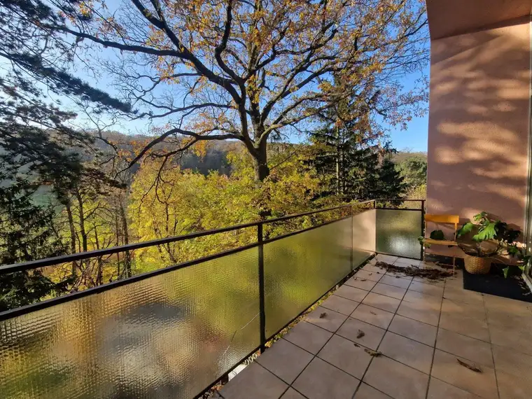 PÖTZLEINSDORFER PARK - LOFTARTIGE ARCHITEKTENWOHNUNG - TRAUMHAFTE LAGE - GRÜNBLICK - 5 ZIMMER + grosser BALKON