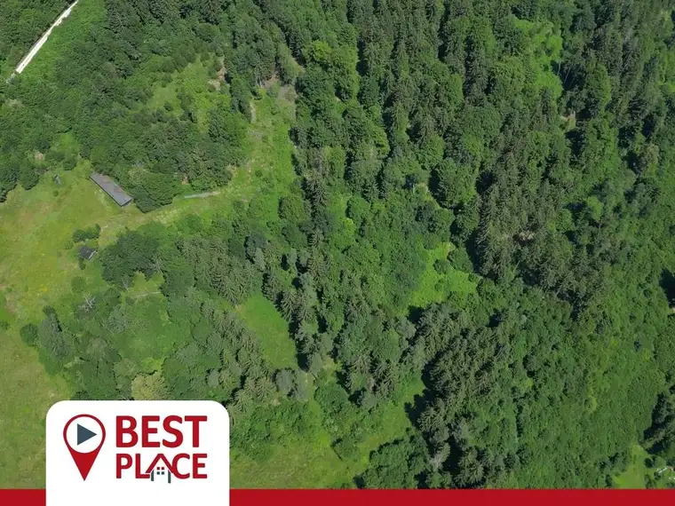 4.5 ha Wiesen und Wald in Villach