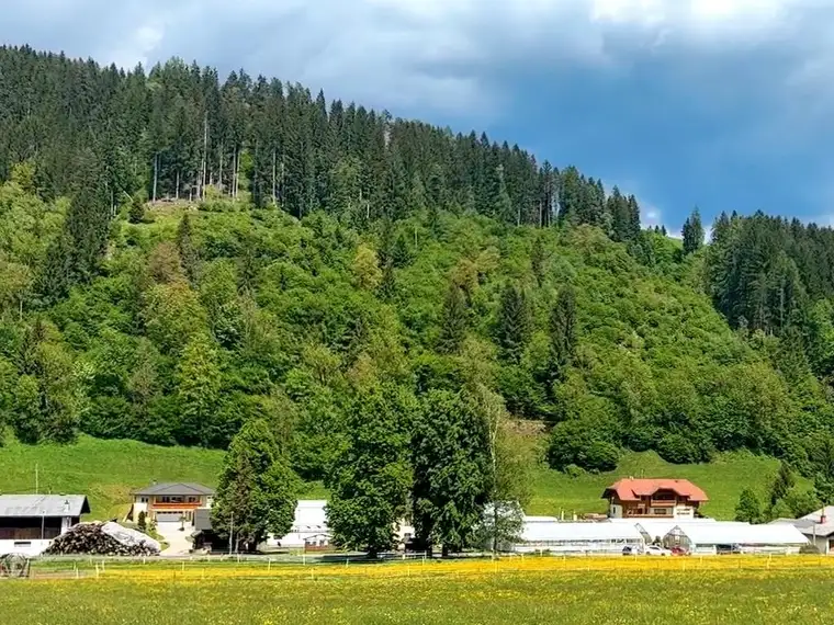 Wald in Ortsnähe mit Wasserfall