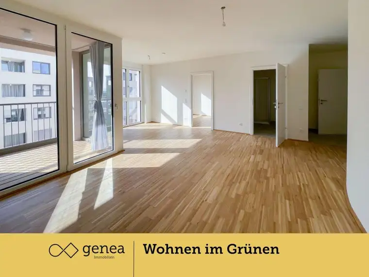 Lukas Kraxner, Genea Projektvermarktungs GmbH
