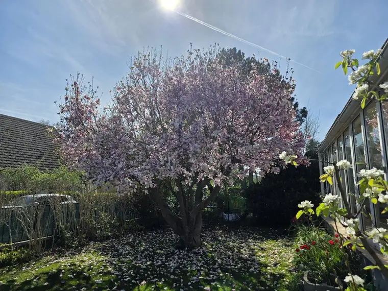 Zaubergarten mit Bungalow bereit zum Einziehen!