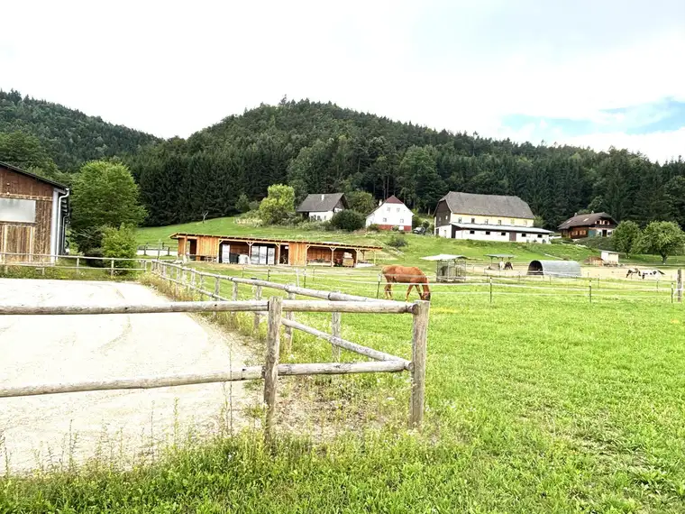 KLEINLANDWIRTSCHAFTLICHES JUWEL! CA. 10 HEKTAR WALD! WIESEN! BETRIEBSFLÄCHEN!