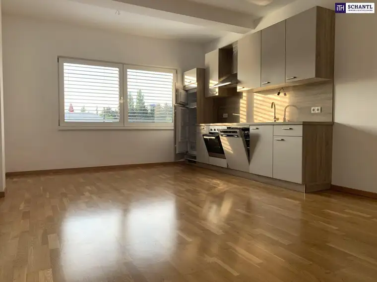Ihr Platz an der Sonne: Traumwohnung mit ca. 60 m² in Graz-Liebenau mit Balkon, Carport &amp; Wohlfühlgarantie – jetzt besichtigen &amp; begeistern lassen