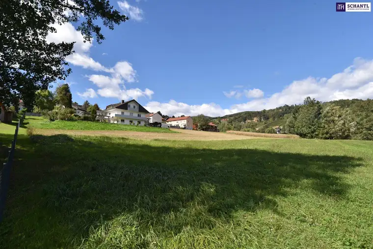 Ihr Traum vom Eigenheim: Baugrundstück in Bad Gams mit sonniger Südausrichtung und allen Anschlüssen an der Grundstücksgrenze in ruhiger Wohnlage wartet auf Sie!