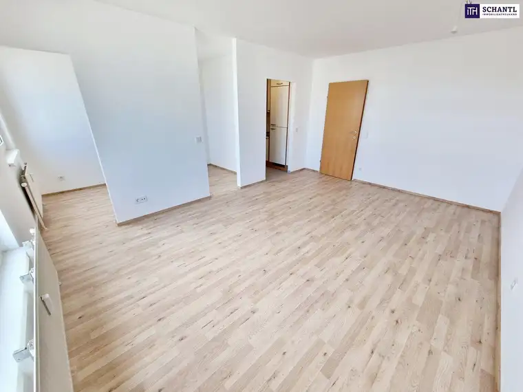 Samir Agha-Schantl, Schantl ITH Immobilientreuhand GmbH
