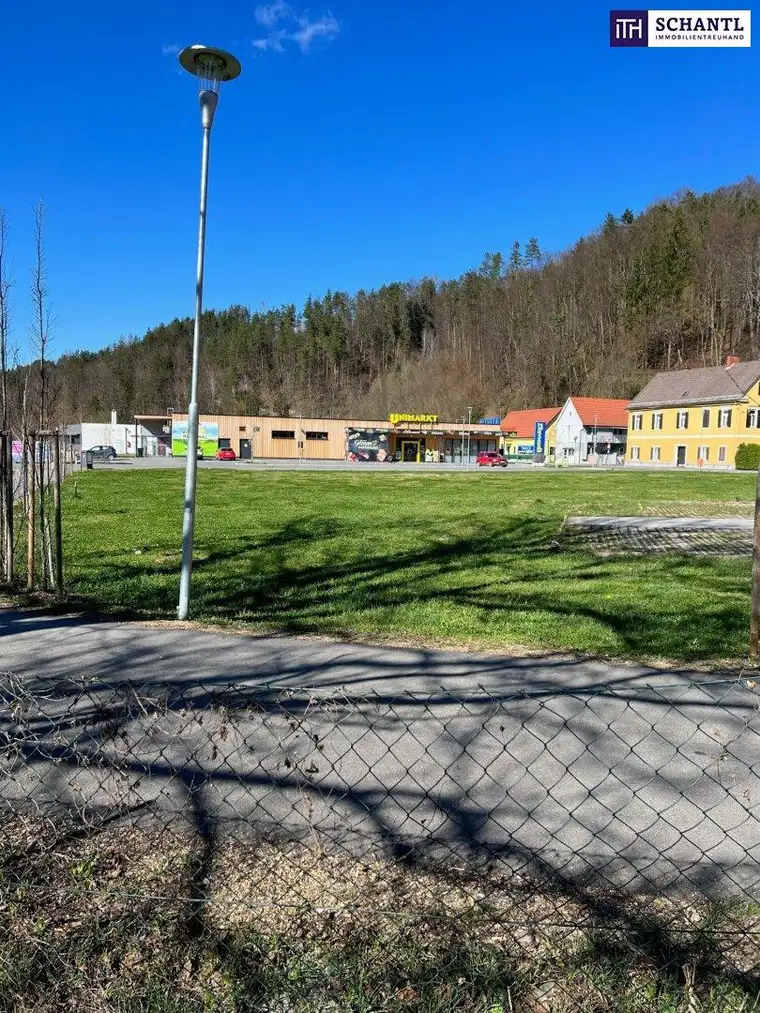 PREISRDUKTION! GELEGENHEIT! Grundstück mit sanierungsbedürftigem Altbau für Abriss und Neubau - Ein Traum für Bauträger!