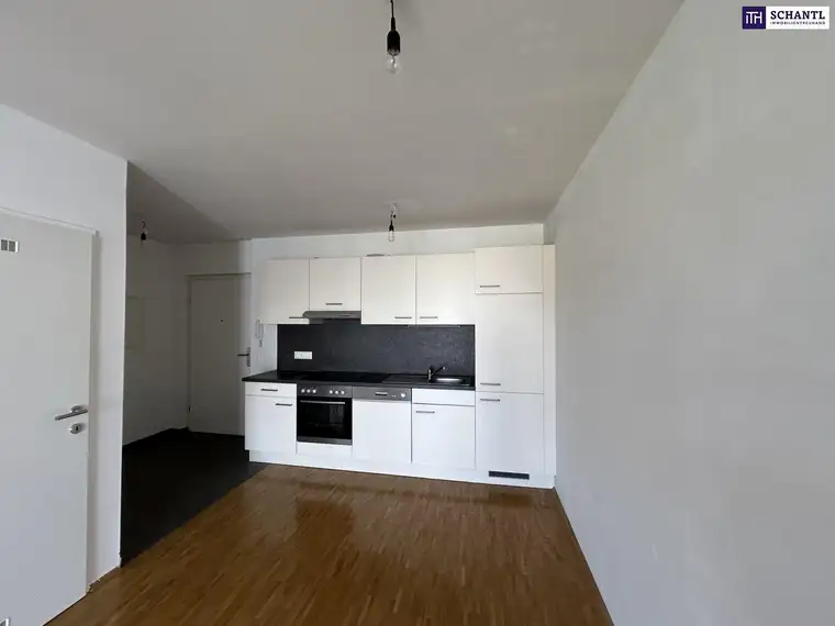Miet-Wohnung in Innenhoflage bietet genügend Platz auch für 2 Personen - in 8020 Graz
