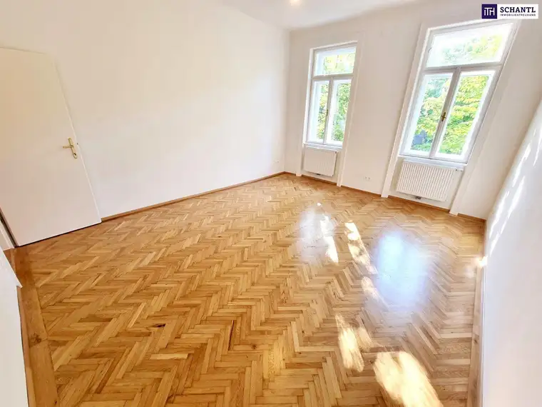 Samir Agha-Schantl, Schantl ITH Immobilientreuhand GmbH