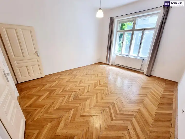 Samir Agha-Schantl, Schantl ITH Immobilientreuhand GmbH