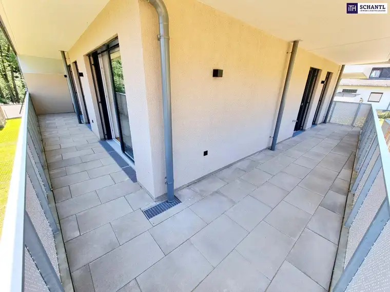 Samir Agha-Schantl, Schantl ITH Immobilientreuhand GmbH