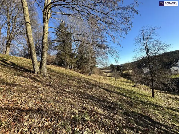 LETZTE CHANCE - SICHERN SIE SICH JETZT DIESES GESCHENK! DIE GELEGENHEIT! Baugrund inkl. Bewilligung für Wohnbauprojekt mit 4 Doppelhaushälften! Jetzt Anfragen!