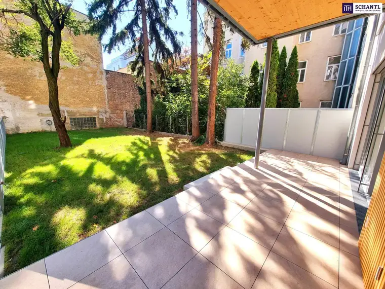 Samir Agha-Schantl, Schantl ITH Immobilientreuhand GmbH