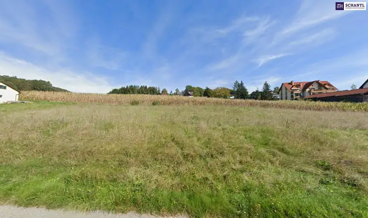 Wo Wohnträume Wurzeln schlagen: Baureifes Traumgrundstück vor den Toren von Graz!