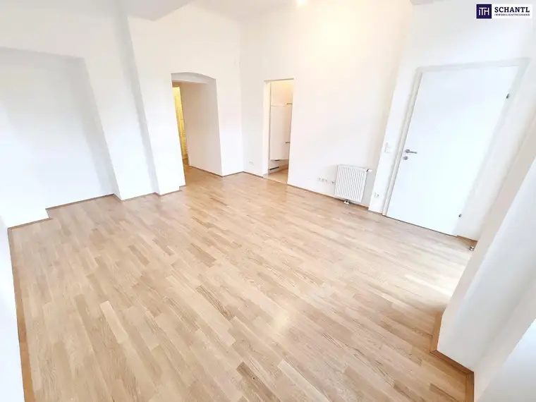 Samir Agha-Schantl, Schantl ITH Immobilientreuhand GmbH
