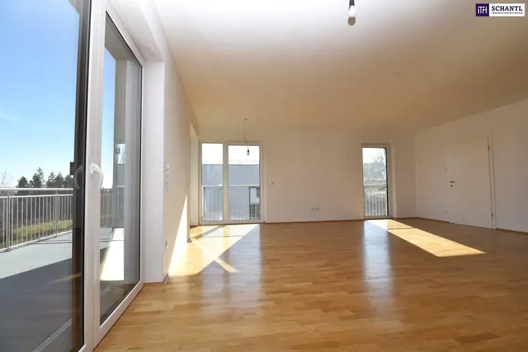 IDYLLISCHES DOPPELHAUS in den Weinbergen - mit DOPPELGARAGE, GARTEN, TERRASSE &amp; DACHTERRASSE!