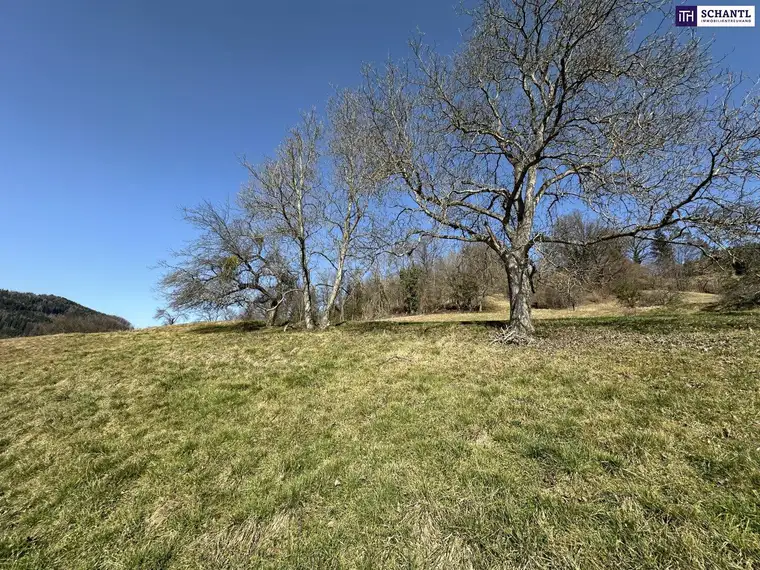 7 Parzellen verfügbar - Tolles Baugrundstück am Sonnenhang in Prenning bei Deutschfeistritz – 3.700 m², aufteilbar in 7 Parzellen
