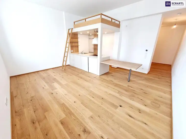 Samir Agha-Schantl, Schantl ITH Immobilientreuhand GmbH