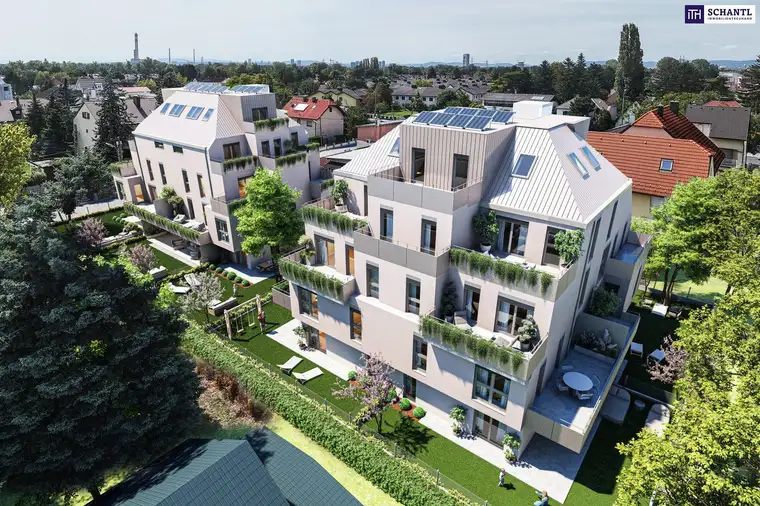 Samir Agha-Schantl, Schantl ITH Immobilientreuhand GmbH