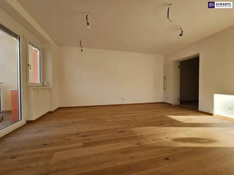 Nikolaus Kronabitter, Schantl ITH Immobilientreuhand GmbH