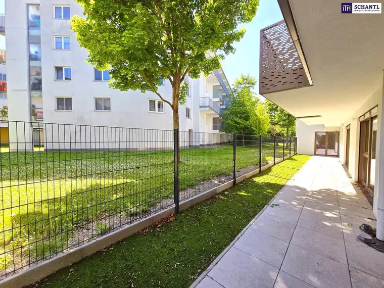 Samir Agha-Schantl, Schantl ITH Immobilientreuhand GmbH