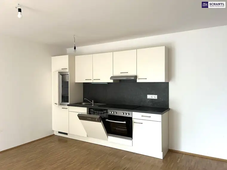 Sehr ruhige und angenehme Innenhofwohnung, toll geschnitten, hell und freundlich, mit sensationell niedrigen Heizkosten - Erdwärme!