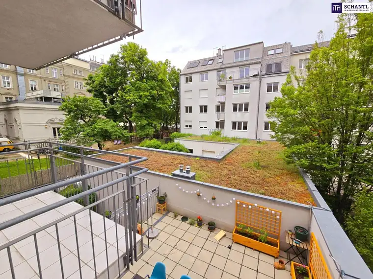 Samir Agha-Schantl, Schantl ITH Immobilientreuhand GmbH
