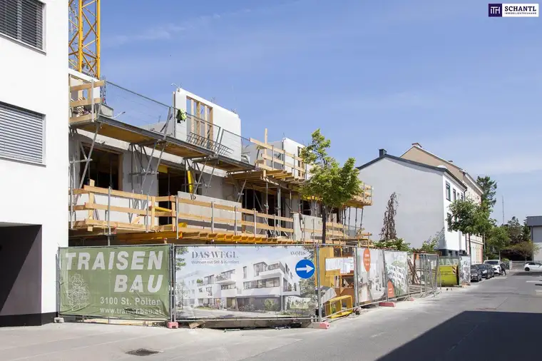 Patrick Spreitzer, BA, MA, Schantl ITH Immobilientreuhand GmbH