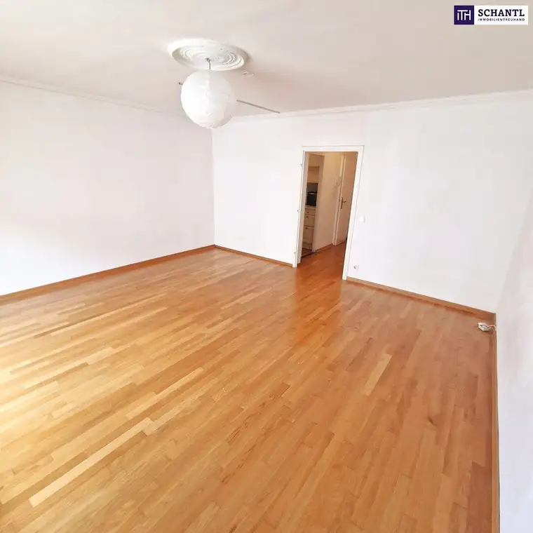Citywohnung mit sonniger Terrasse in einem der gefragtesten Szeneviertel Wiens – stilvolles Zuhause oder wertbeständiges Anlageobjekt - mit bestehendem Mietverhältnis bis Juli 2027