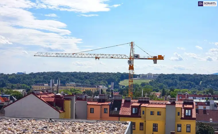 Samir Agha-Schantl, Schantl ITH Immobilientreuhand GmbH