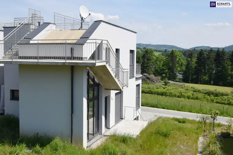 IDYLLISCHES DOPPELHAUS in den Weinbergen - mit DOPPELGARAGE, GARTEN, TERRASSE &amp; DACHTERRASSE!