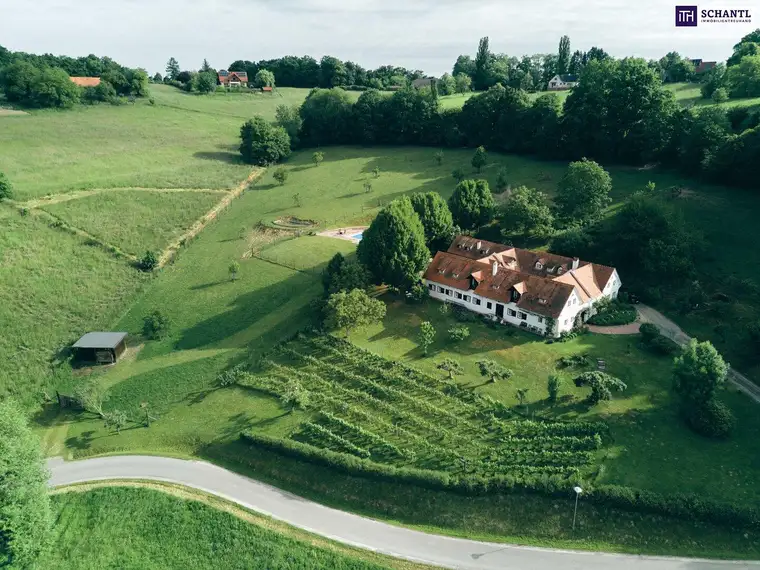 VIERKANTHOF MIT WILDGEHEGE VOR DER HAUSTÜRE! Bad Loipersdorf: Wo Natur, Geschichte und Exklusivität aufeinandertreffen