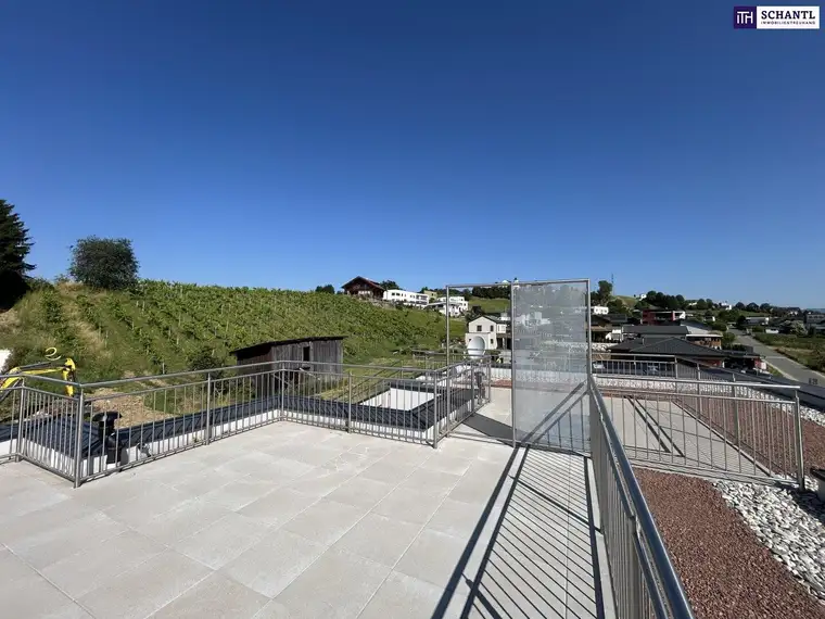 TRAUMHAFTES DOPPELHAUS mitten in den IDYLLISCHEN Weinbergen - mit DOPPELGARAGE, GARTEN, TERRASSE &amp; DACHTERRASSE!