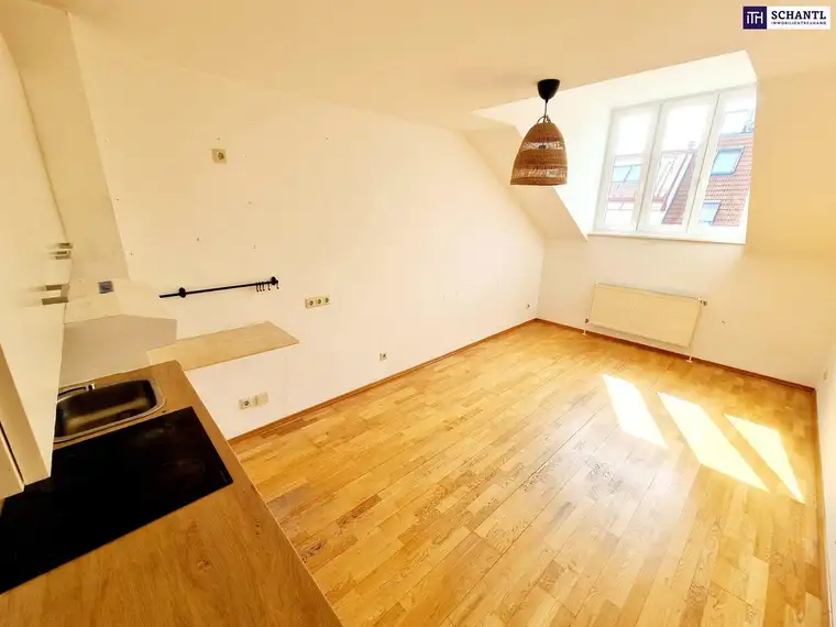 Frühlingsaktion! Entzückende Wohnung im Dachgeschoss in Best- und Ruhelage! Mit Sanierungsbedarf oder als Erstbezug nach Sanierung + Rundum saniertes Traumhaus! Jetzt zugreifen!