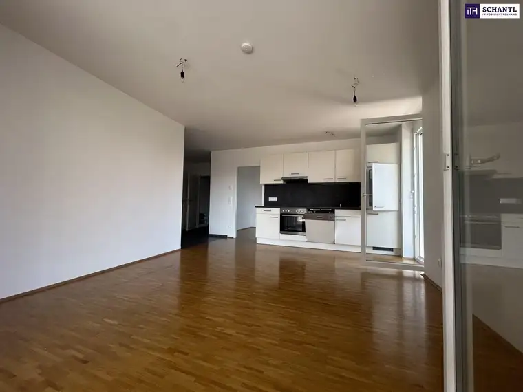 Herrlich helle megacoole Singlewohnung, auch geeignet für Pärchen mit einer gigantischen Terrasse und einem Balkon in 8020 Graz zu mieten!