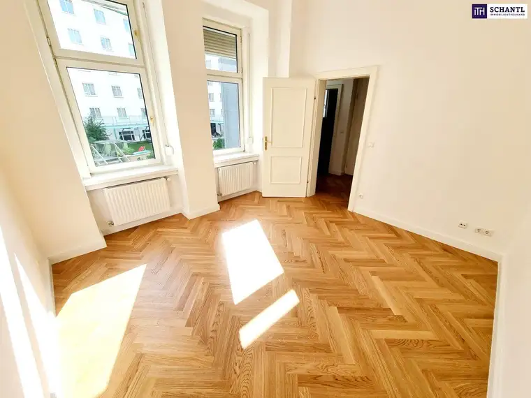 Samir Agha-Schantl, Schantl ITH Immobilientreuhand GmbH